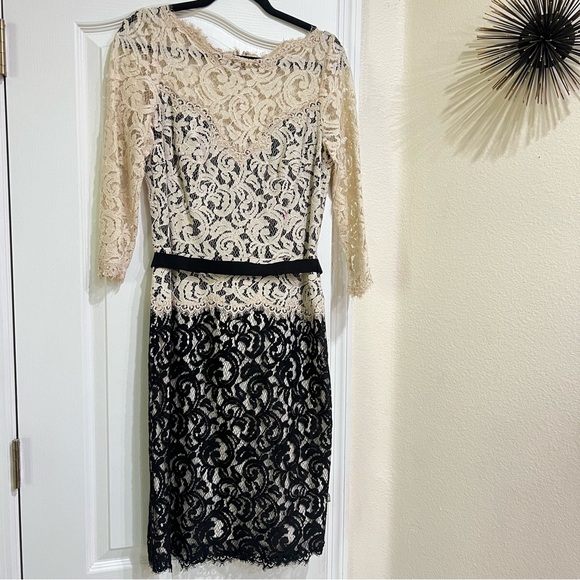 TADASHI SHOJI Elegant Lace Dress in Black and Cream